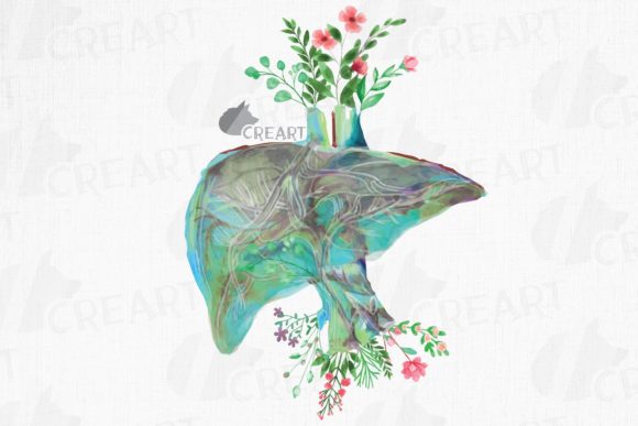 Floral Anatomical Liver Art: A Creative Guide