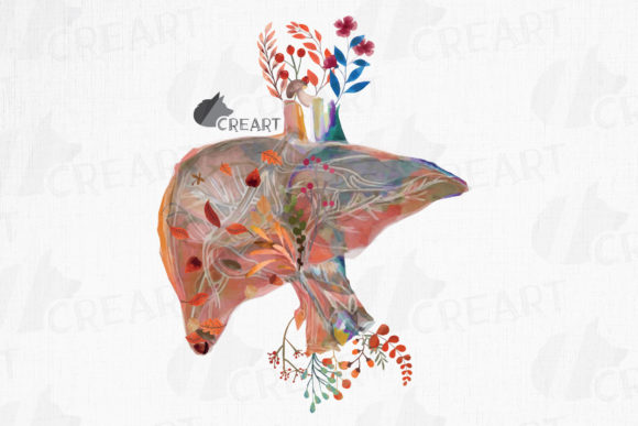 Human Anatomy Floral Liver Autumn Decor Guide