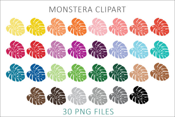 Monstera Clipart PNG: A Versatile Tool for Every Creator
