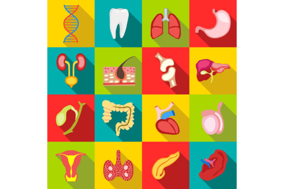Visualizing the Human Body: A Guide to Flat Internal Organs Icons for Modern Design