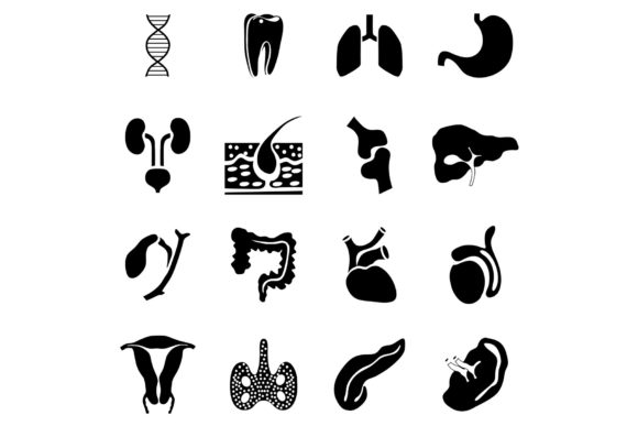 Why the Internal Organs Icons Set in Simple Style is a Game-Changer for Modern UI Design